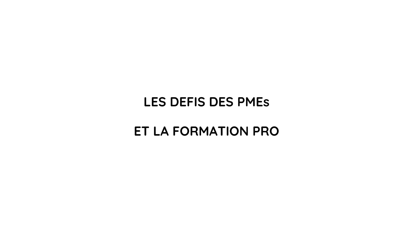 Les défis des PME en matière de formation et de développement des ...
